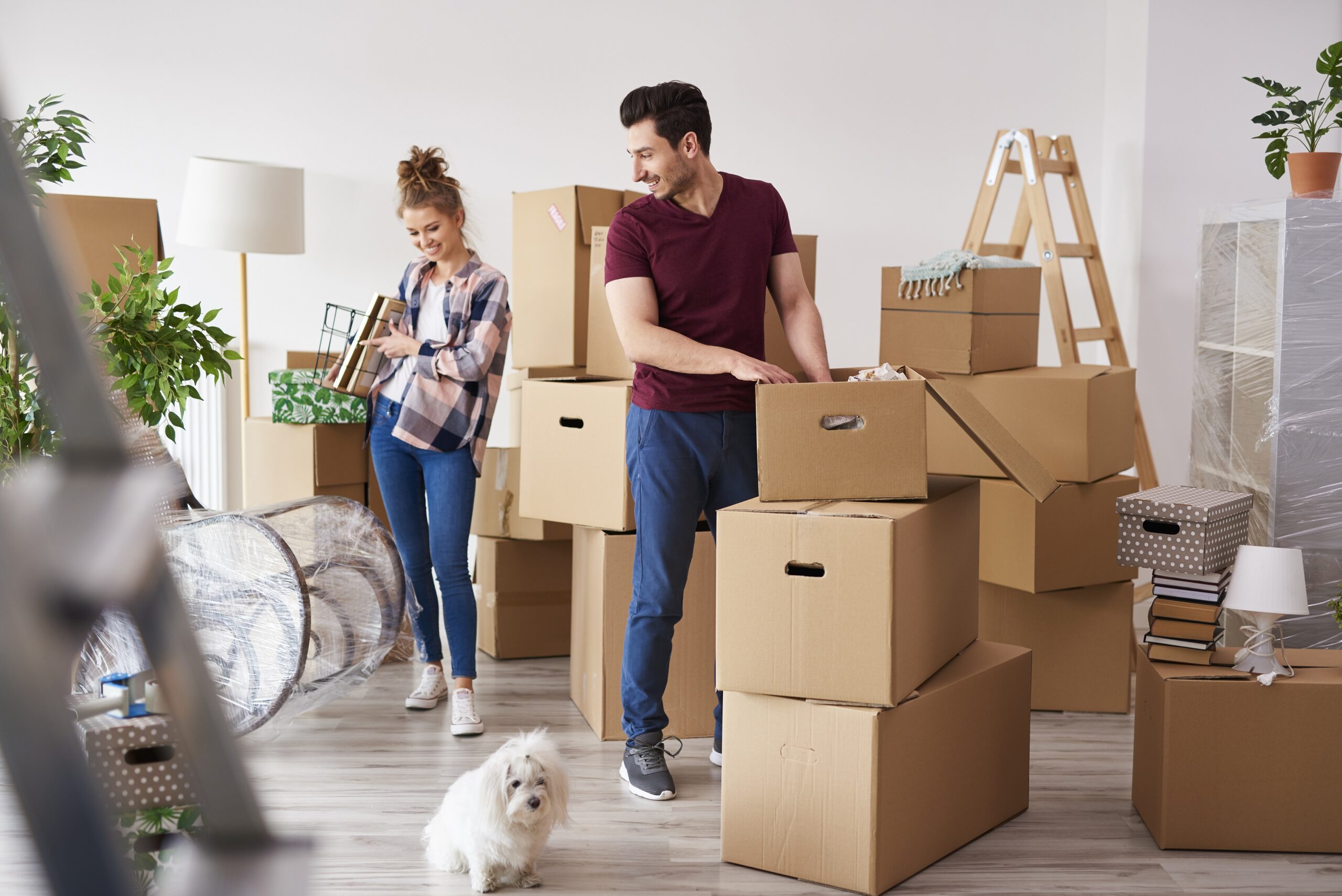 packers-and-movers-pune